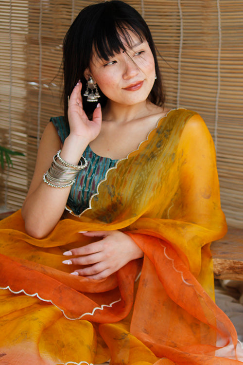 TINA eco printed organza silk sari