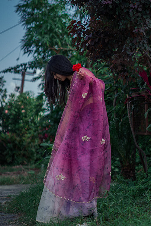JAMUN - eco printed , hand embroidered organza silk sari