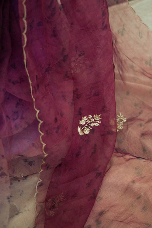 JAMUN - eco printed , hand embroidered organza silk sari