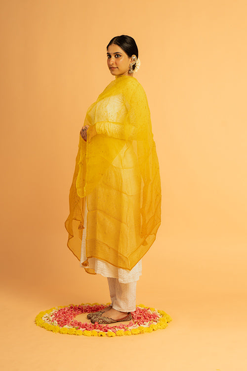 SURAJ - organza dupatta