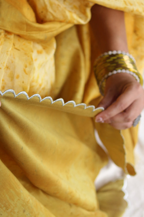 HEER - Eco Printed Chanderi Silk Sari
