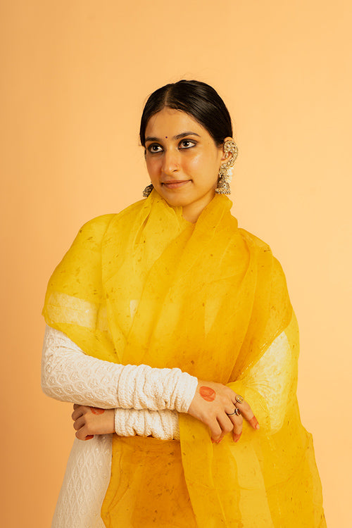 SURAJ - organza dupatta