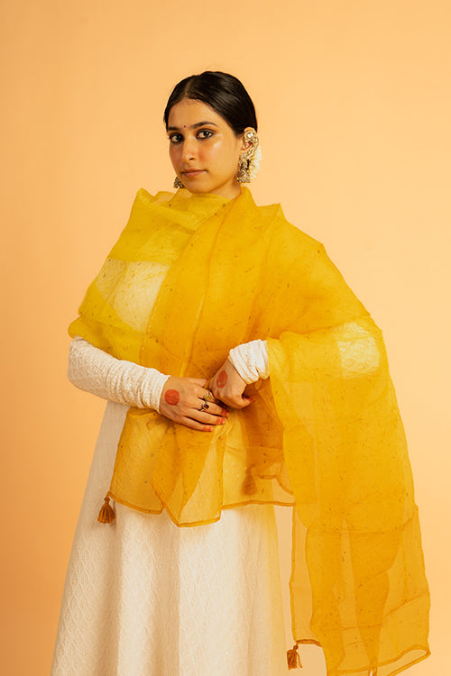 SURAJ - organza dupatta