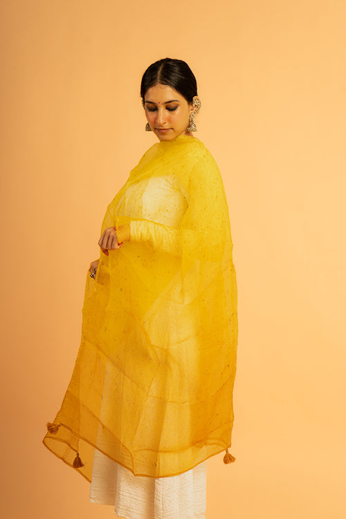 SURAJ - organza dupatta