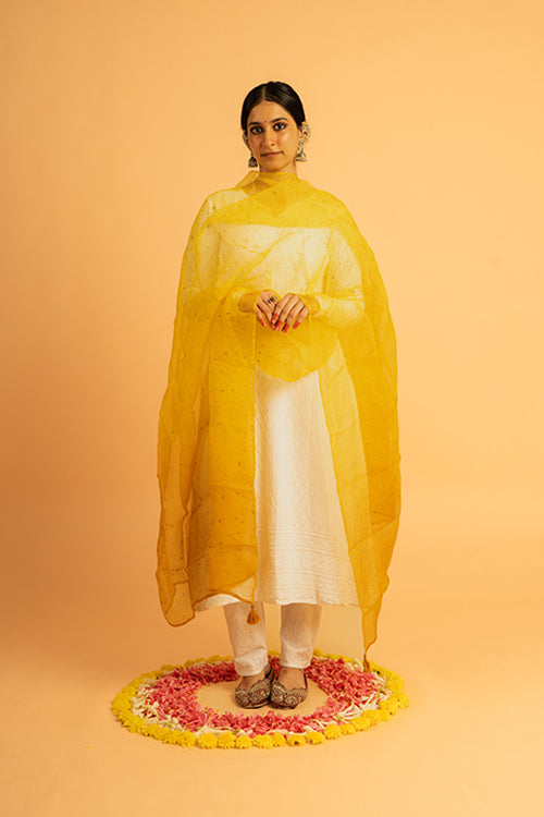 SURAJ - organza dupatta