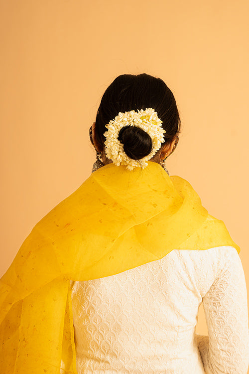 SURAJ - organza dupatta