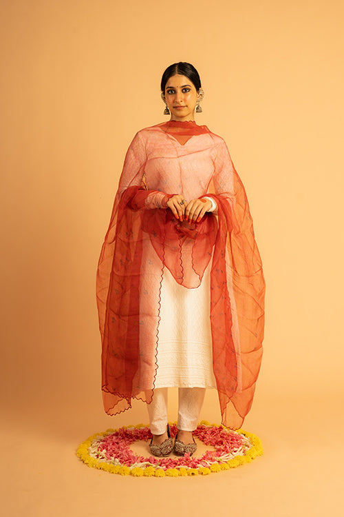 SIROHI - organza dupatta