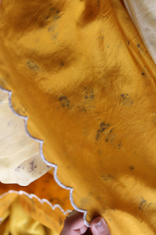 AANCHAL - Eco Printed Habutai Silk Sari