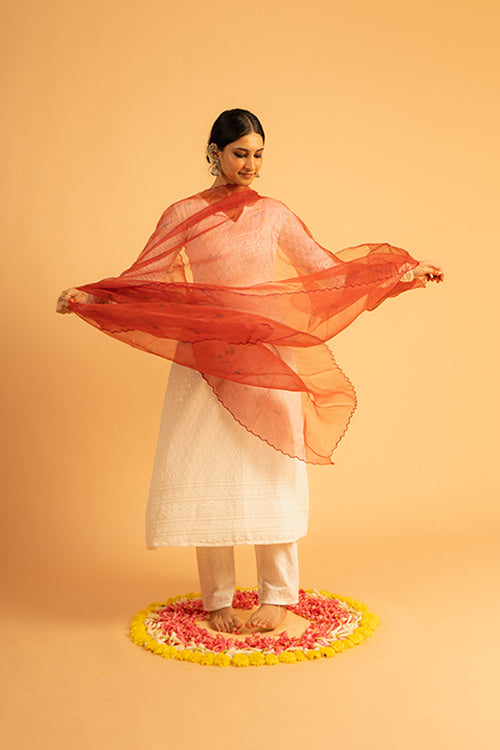 SIROHI - organza dupatta