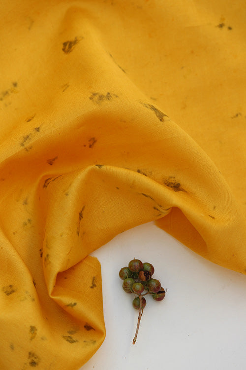BAAGH Eco Printed chanderi Silk Yardage