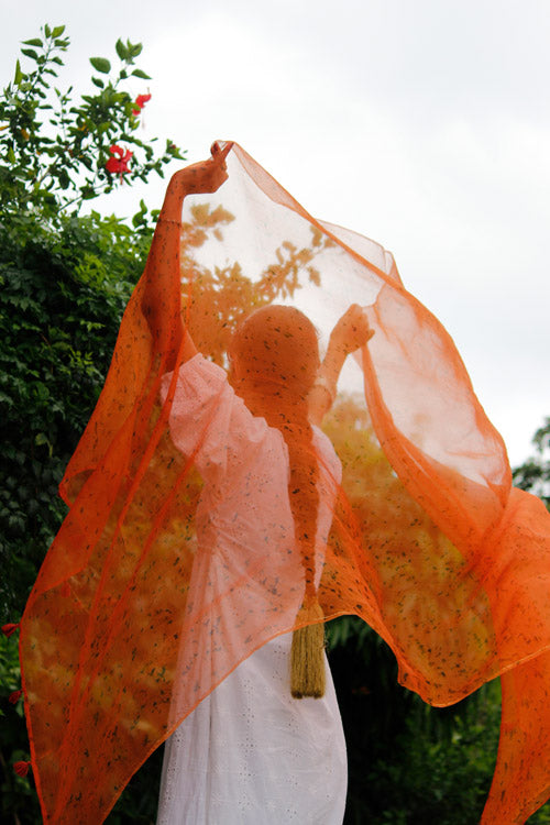 GEHRUA -eco printed organza silk dupatta