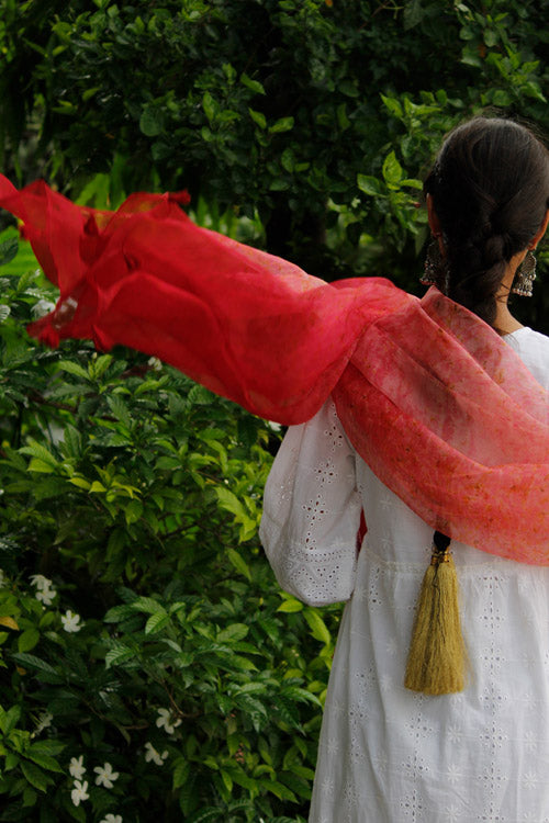 AROHI -eco printed organza silk dupatta