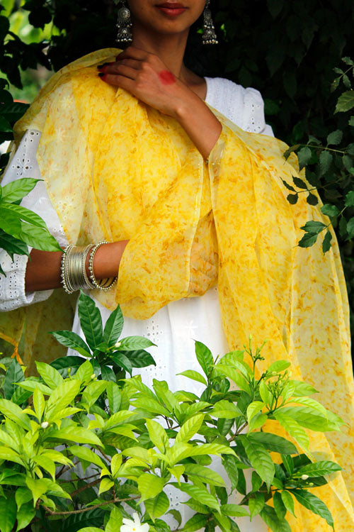 SONCHADI -eco printed organza silk dupatta