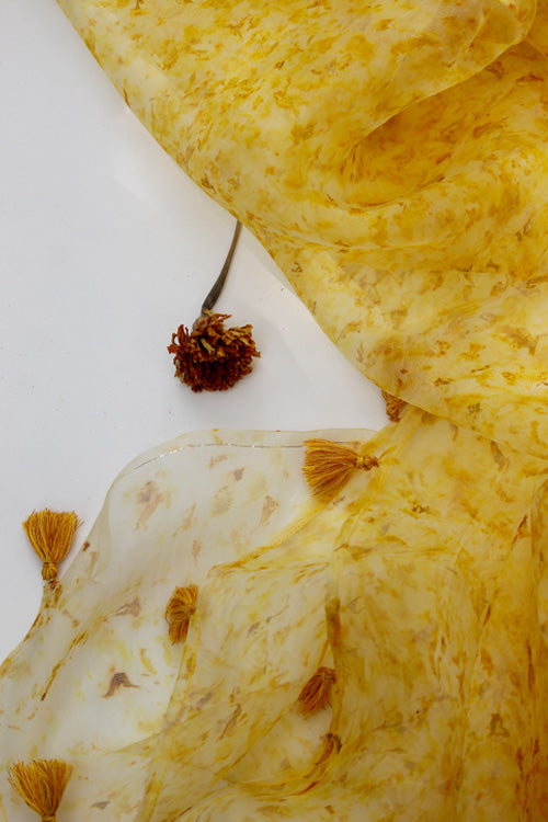 MARIGOLD - chanderi suit set