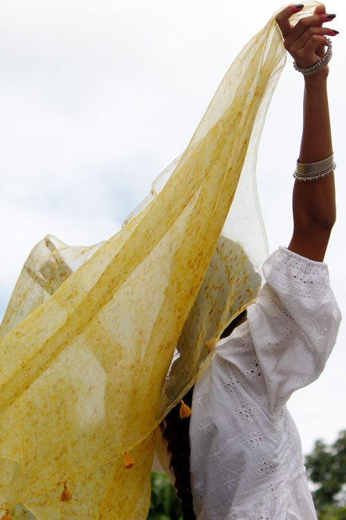 SONCHADI -eco printed organza silk dupatta