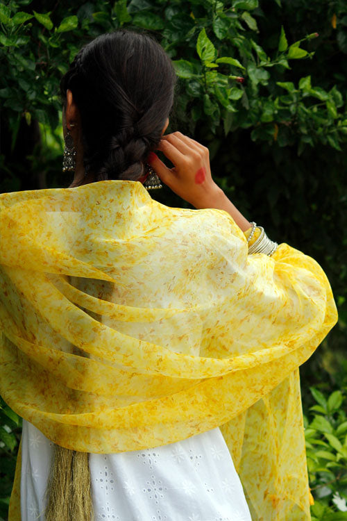 SONCHADI -eco printed organza silk dupatta