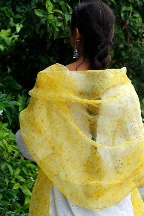 SONCHADI -eco printed organza silk dupatta