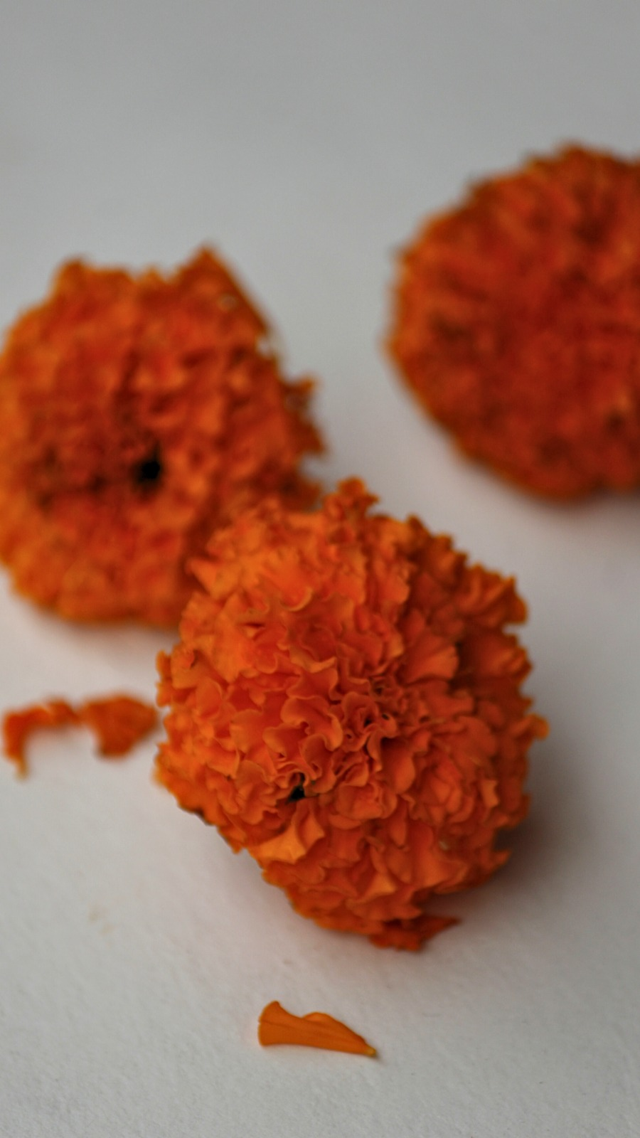 Marigold