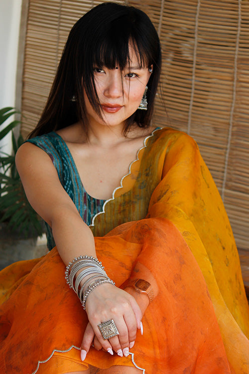 TINA eco printed organza silk sari