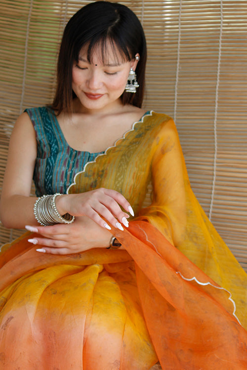 TINA eco printed organza silk sari