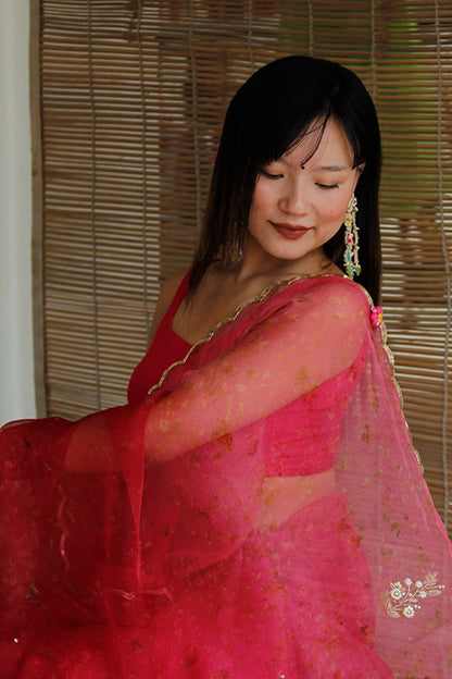 MILIE eco printed organza silk sari