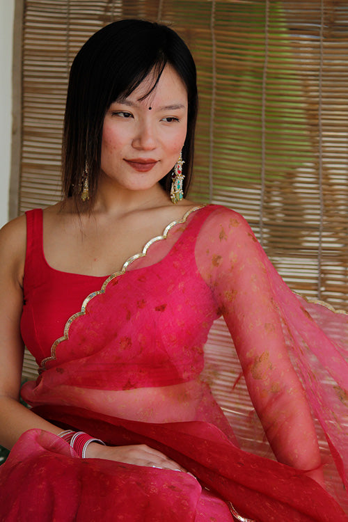 MILIE eco printed organza silk sari