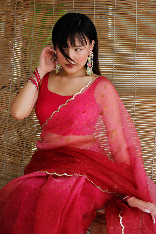 MILIE eco printed organza silk sari