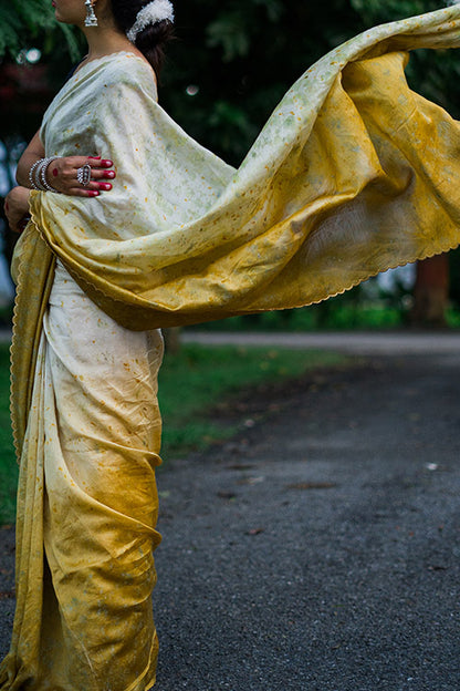 RITIKA Eco Printed chanderi Silk Sari