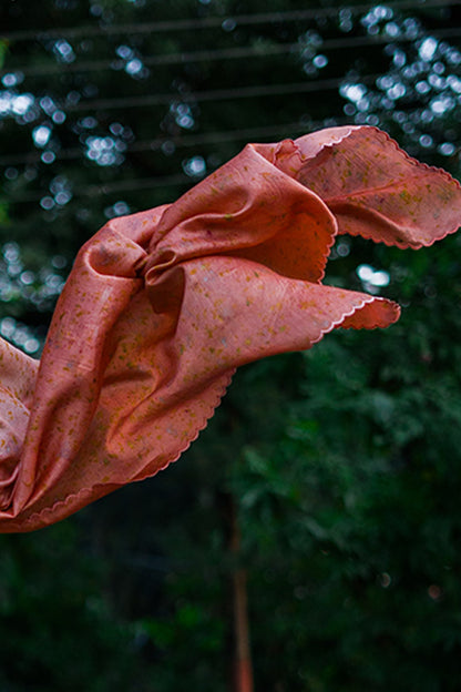 AVANTIKA Eco Printed chanderi Silk Sari