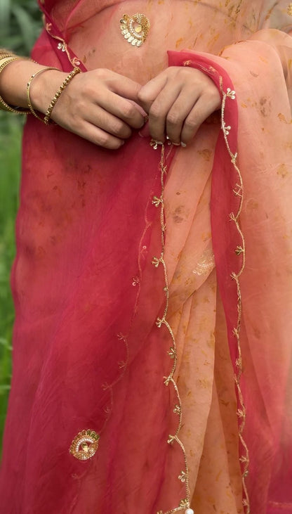 Nidhi - Eco Printed Organza Silk Sari