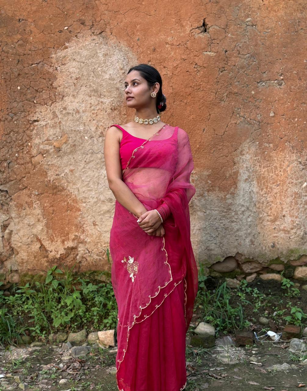 ANISH - Eco Printed Organza Silk Sari