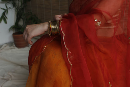 Mity - Eco Printed Organza Silk Sari