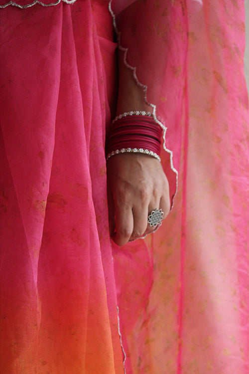 JAHNVI - Eco Printed Organza Silk Sari