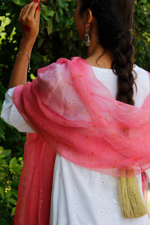 GULABI -eco printed organza silk dupatta