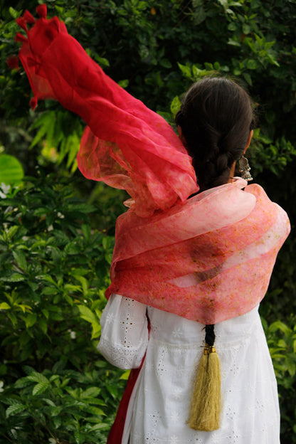 AROHI -eco printed organza silk dupatta