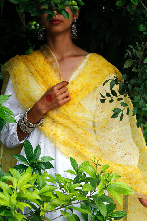 SONCHADI -eco printed organza silk dupatta